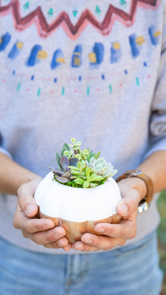 types of succulents with woman holding succulent plant