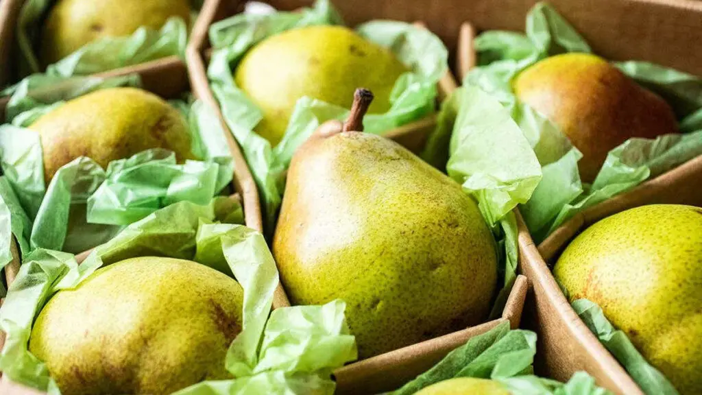 Kwanzaa pears