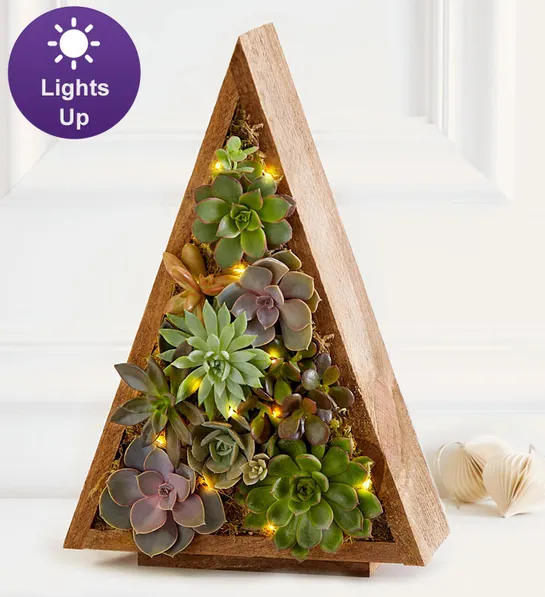 holiday decorator Succulent Tree