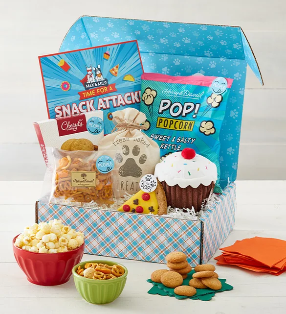 th birthday gift ideas Max Milo Dog Owner Snack Attack Box