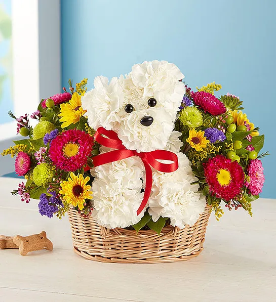 best get well soon gifts a DOG able in a Basket