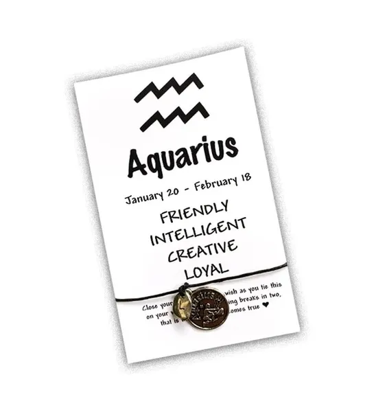 February birthday aquarius wish bracelet
