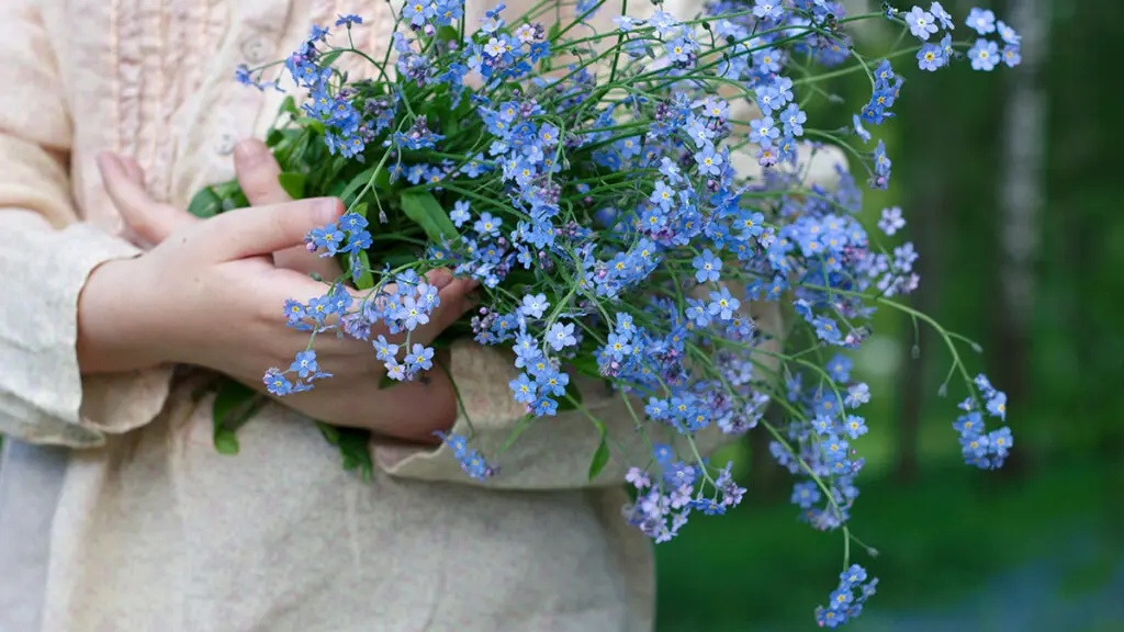 girl holding bouquet of forget me not blue flowers in spring for