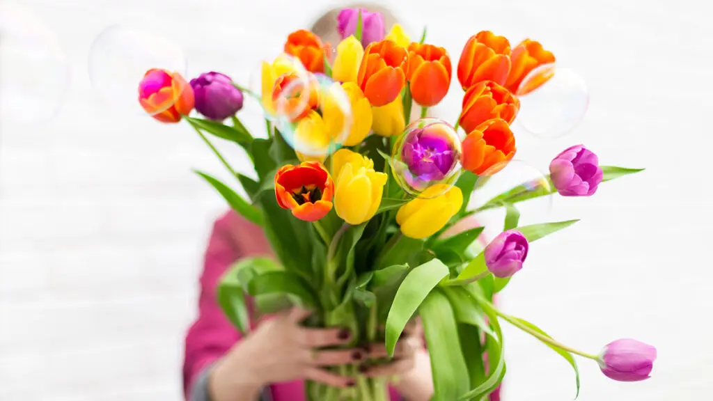most romantic flowers tulip