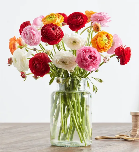 types of red flowers Radiant Ranunculus Bouquet