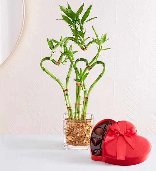 valentines day gifts for yourself Sweet Heart Bamboo