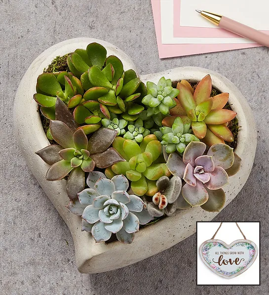 valentines gifts for her Succulent Heart Garden