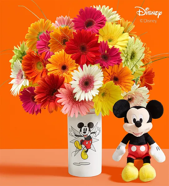 gerbera daisy care Disney Mickey Mouse Vase With Assorted Gerbera Daisies