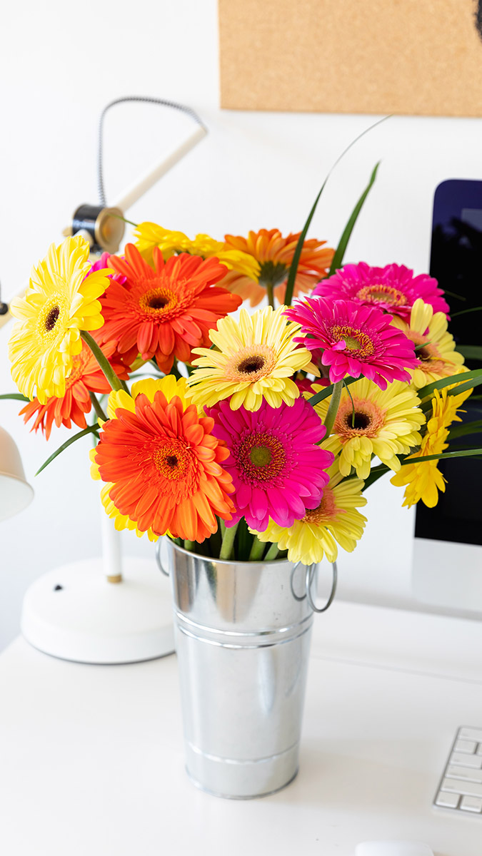 Gerbera Daisy Care vaas met madeliefjes op bureau
