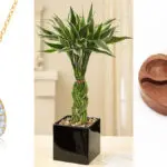 good luck gifts hero