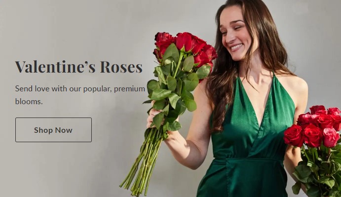 valentines roses banner