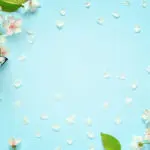 Beautiful spring nature background with butterfly, lovely blossom, petal a on turquoise blue background , top view, frame. Springtime concept.