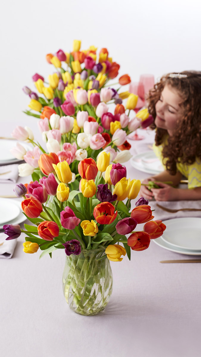 tulip facts girl smelling tulips