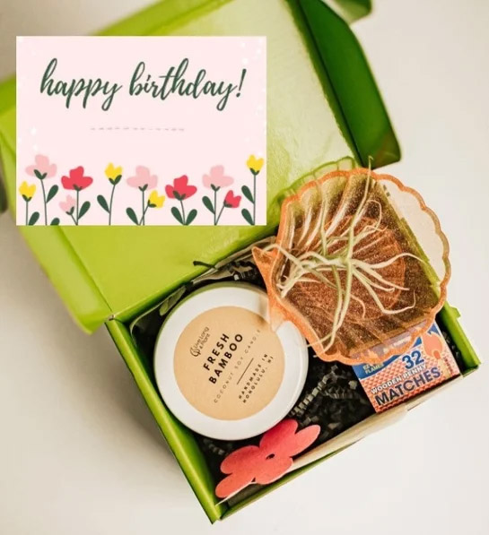 types of air plants Happy Birthday Air Plant Candle Gift Box