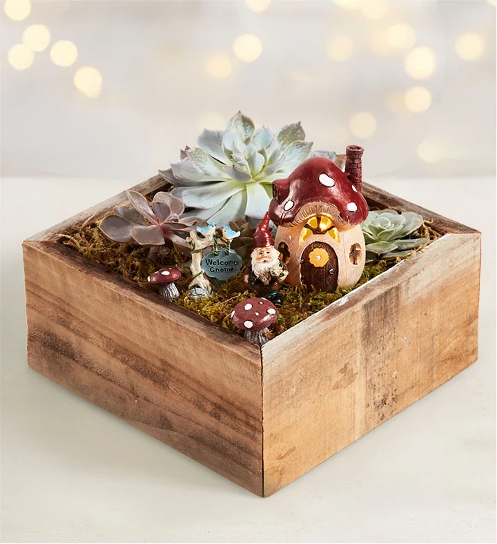 creative mothers day gift ideas Welcome Gnome Succulent Garden