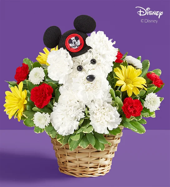 creative mothers day gift ideas a DOG able Disney Mickey Mouse