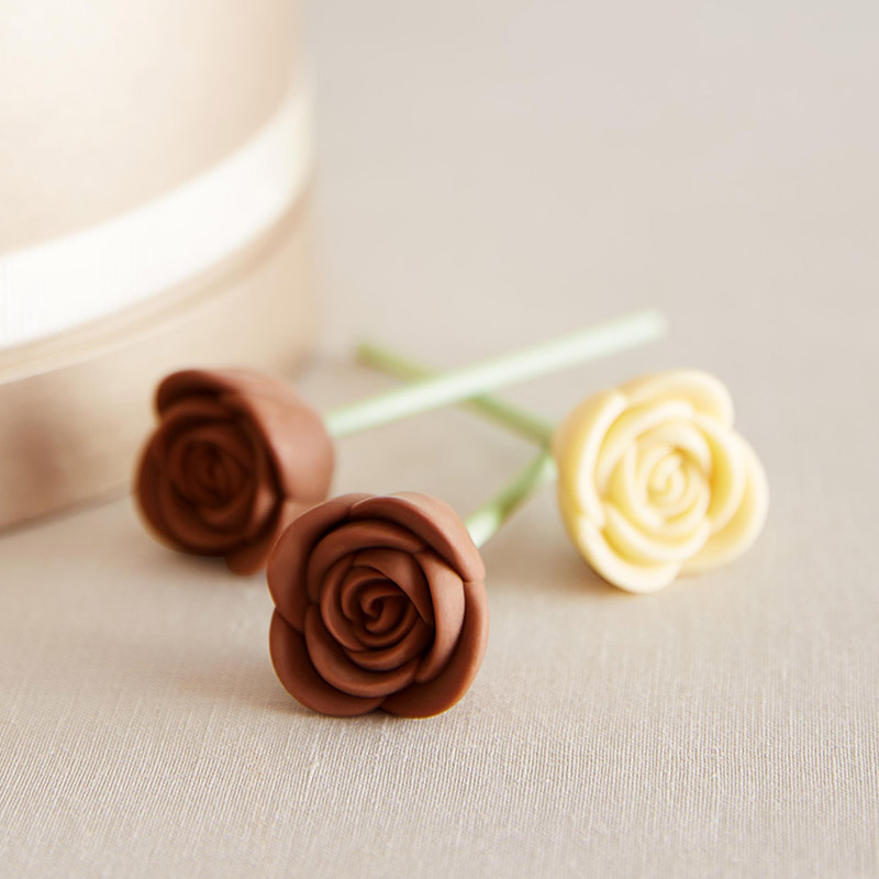 fleur de chocolate roses closeup square