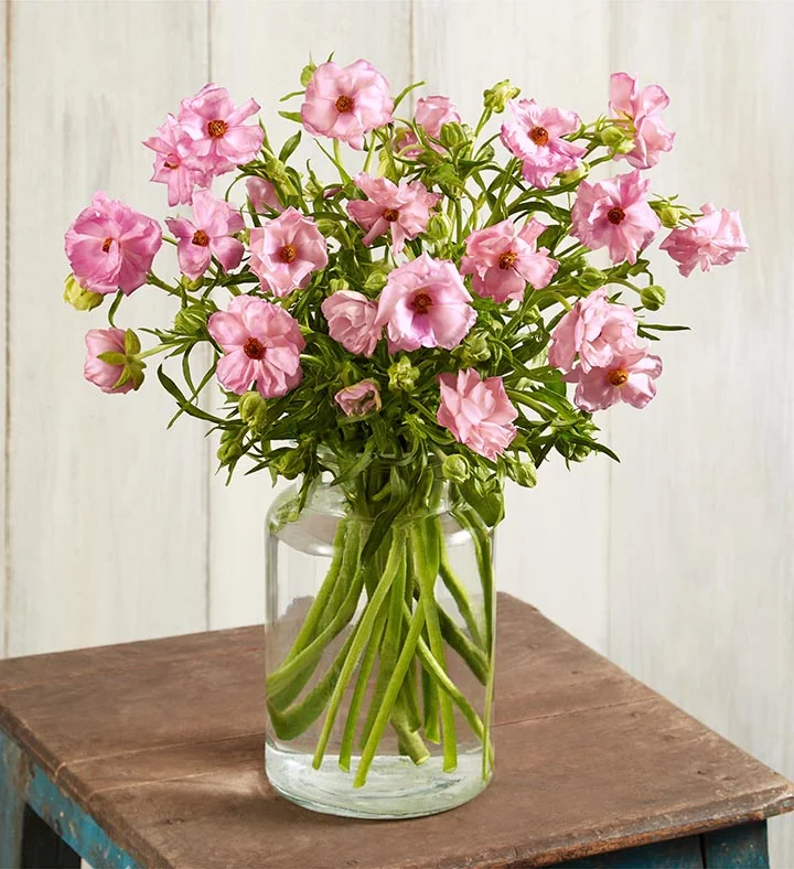 unique mothers day gift ideas Pink Butterfly Ranunculus Bouquet