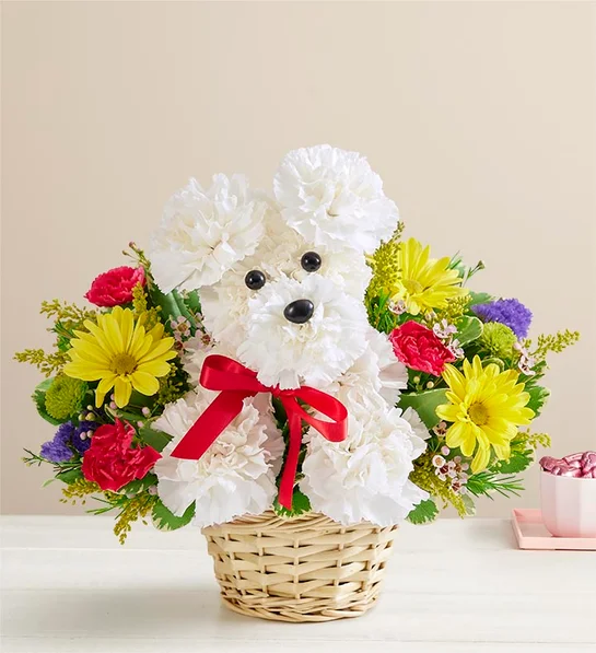 unique mothers day gift ideas a DOG able in a Basket