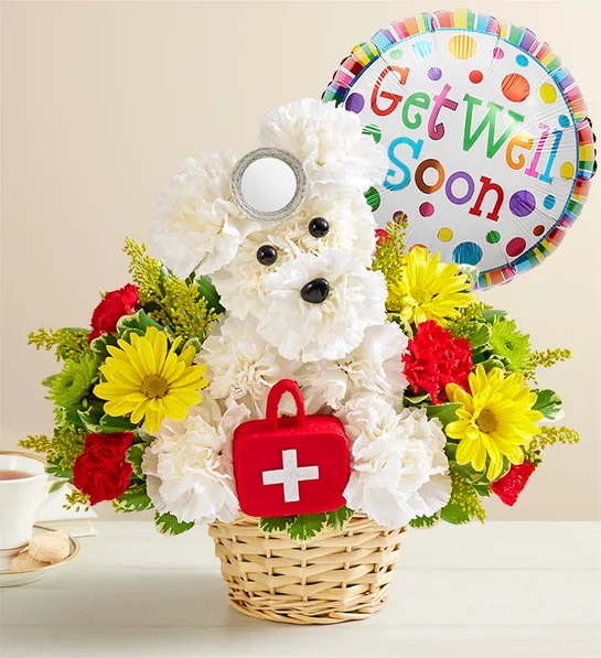 ways to honor nurses cure all doggie