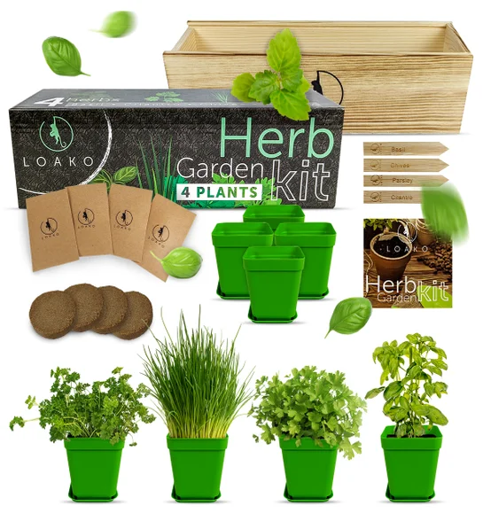 birthday gifts for gemini Herb Garden Kit