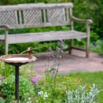 Idyllic view of a beautiful green and growing springtime garden with flowering plants, grass and a bird bath and a wooden bench on a sunny day