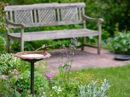 Idyllic view of a beautiful green and growing springtime garden with flowering plants, grass and a bird bath and a wooden bench on a sunny day