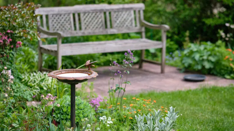 How to Design Your Own Memorial Garden Idyllic view of a beautiful green and growing springtime garden with flowering plants, grass and a bird bath and a wooden bench on a sunny day