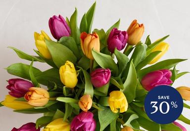 Header navigation sub menu